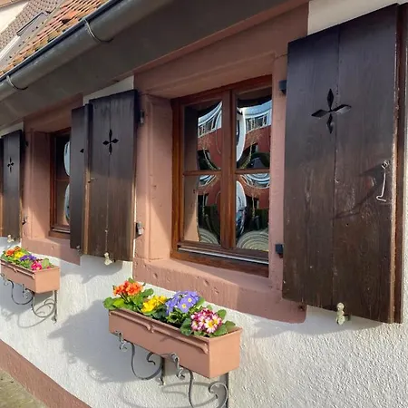 Mein Mini-haus - 2 - Smart-tv - Stein & Holz *